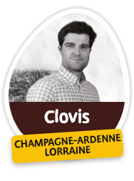 Clovis - Champagne-Ardenne Lorraine