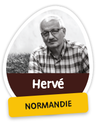 Hervé - Normandie
