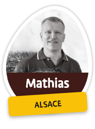 Mathias - Alsace